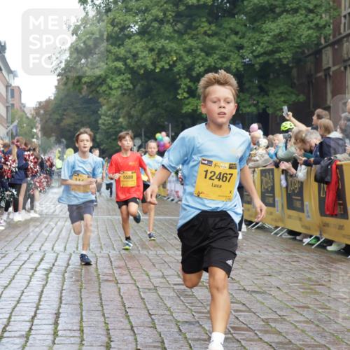 13.09.2026 - Kiel Lauf Yannick Fuchs http://msf.ph/oto/10278457 13.09.2026 08:51:25 Ziel 444, 909, 3683, 4159, 4741, 5211, 5439, 5906, 6699, 7033, 8657, 8883, 9379, 9929, 496, 1238, 1724, 2343, 5010, 5959, 7033, 10463, 10957, 10970, 11688, 1210, 1243, 3779, 3901, 5130, 5580, 5793, 5976, 6532, 7521, 8206, 8538, 11448, 12467, 497, 2125, 3106, 5959, 9612, 10987 meine-sportfotos.de