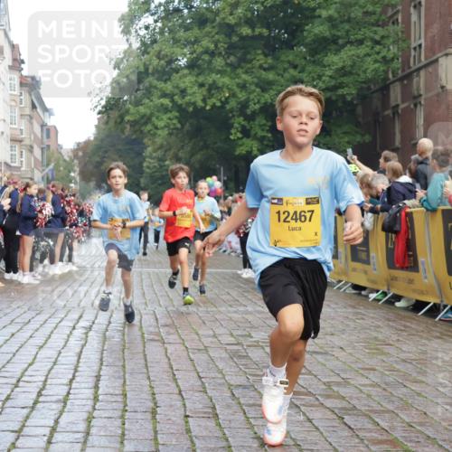 13.09.2026 - Kiel Lauf Yannick Fuchs http://msf.ph/oto/10278464 13.09.2026 08:51:25 Ziel 444, 909, 3683, 4159, 4741, 5211, 5439, 5906, 6699, 7033, 8657, 8883, 9379, 9929, 496, 1238, 1724, 2343, 5010, 5959, 7033, 10463, 10957, 10970, 11688, 1210, 1243, 3779, 3901, 5130, 5580, 5793, 5976, 6532, 7521, 8206, 8538, 11448, 12467, 497, 2125, 3106, 5959, 9612, 10987 meine-sportfotos.de