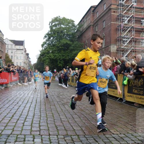 13.09.2026 - Kiel Lauf Yannick Fuchs http://msf.ph/oto/10278620 13.09.2026 08:51:34 Ziel 444, 1243, 3779, 3901, 5130, 5439, 5793, 5906, 5976, 6699, 8206, 8538, 8657, 8883, 9379, 9929, 496, 909, 1238, 1724, 2343, 3683, 4159, 4741, 5010, 5211, 7033, 10463, 10970, 11688, 1210, 1572, 2020, 5169, 5580, 6532, 7171, 7521, 8543, 8700, 11448, 12102, 12467, 496, 2343, 5959, 10957 meine-sportfotos.de