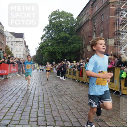13.09.2026 - Kiel Lauf Yannick Fuchs http://msf.ph/oto/10278648 13.09.2026 08:51:36 Ziel 444, 1243, 3779, 3901, 5130, 5439, 5793, 5906, 5976, 6532, 6699, 7521, 8206, 8538, 8657, 9379, 9929, 444, 909, 1238, 1724, 3683, 4159, 4741, 5010, 5211, 7033, 8883, 10463, 10970, 11688, 1210, 1572, 2020, 5169, 5580, 6205, 7171, 8543, 8700, 11448, 12102, 12467, 496, 2343, 10957 meine-sportfotos.de