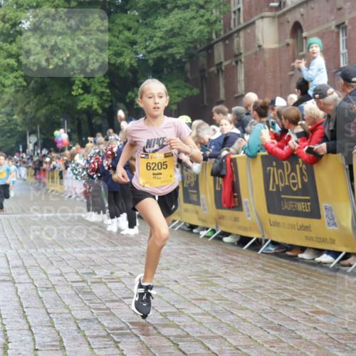 13.09.2026 - Kiel Lauf Yannick Fuchs http://msf.ph/oto/10278670 13.09.2026 08:51:38 Ziel 1243, 3779, 3901, 5130, 5793, 5906, 5976, 6532, 6699, 7521, 8206, 8538, 8657, 9379, 11448, 12467, 444, 909, 1238, 1724, 3683, 4159, 4741, 5010, 5211, 5439, 7033, 8657, 8883, 9379, 9929, 10463, 10970, 11688, 1210, 1572, 2020, 5169, 5580, 6205, 7171, 8543, 8700, 12102, 496, 2343 meine-sportfotos.de