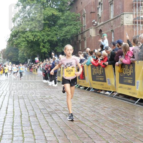 13.09.2026 - Kiel Lauf Yannick Fuchs http://msf.ph/oto/10278676 13.09.2026 08:51:38 Ziel 1243, 3779, 3901, 5130, 5793, 5906, 5976, 6532, 6699, 7521, 8206, 8538, 8657, 9379, 11448, 12467, 444, 909, 1238, 1724, 3683, 4159, 4741, 5010, 5211, 5439, 7033, 8657, 8883, 9379, 9929, 10463, 10970, 11688, 1210, 1572, 2020, 5169, 5580, 6205, 7171, 8543, 8700, 12102, 496, 2343 meine-sportfotos.de