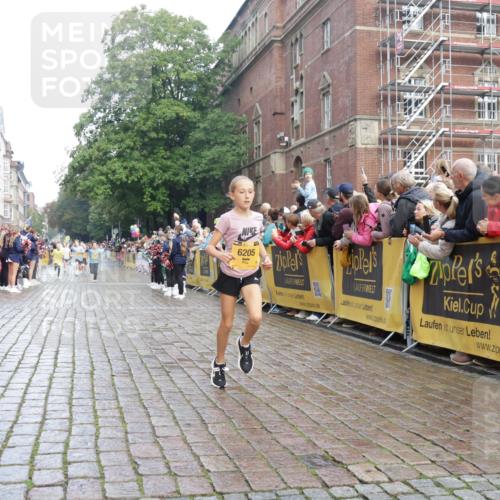 13.09.2026 - Kiel Lauf Yannick Fuchs http://msf.ph/oto/10278681 13.09.2026 08:51:38 Ziel 1243, 3779, 3901, 5130, 5793, 5906, 5976, 6532, 6699, 7521, 8206, 8538, 8657, 9379, 11448, 12467, 444, 909, 1238, 1724, 3683, 4159, 4741, 5010, 5211, 5439, 7033, 8657, 8883, 9379, 9929, 10463, 10970, 11688, 1210, 1572, 2020, 5169, 5580, 6205, 7171, 8543, 8700, 12102, 496, 2343 meine-sportfotos.de