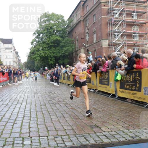 13.09.2026 - Kiel Lauf Yannick Fuchs http://msf.ph/oto/10278686 13.09.2026 08:51:38 Ziel 1243, 3779, 3901, 5130, 5793, 5906, 5976, 6532, 6699, 7521, 8206, 8538, 8657, 9379, 11448, 12467, 444, 909, 1238, 1724, 3683, 4159, 4741, 5010, 5211, 5439, 7033, 8657, 8883, 9379, 9929, 10463, 10970, 11688, 1210, 1572, 2020, 5169, 5580, 6205, 7171, 8543, 8700, 12102, 496, 2343 meine-sportfotos.de