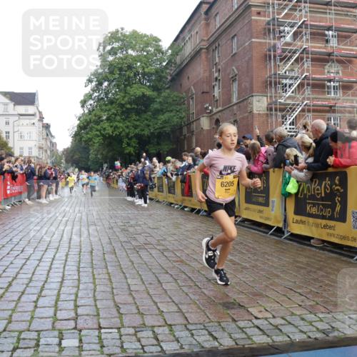 13.09.2026 - Kiel Lauf Yannick Fuchs http://msf.ph/oto/10278693 13.09.2026 08:51:38 Ziel 1243, 3779, 3901, 5130, 5793, 5906, 5976, 6532, 6699, 7521, 8206, 8538, 8657, 9379, 11448, 12467, 444, 909, 1238, 1724, 3683, 4159, 4741, 5010, 5211, 5439, 7033, 8657, 8883, 9379, 9929, 10463, 10970, 11688, 1210, 1572, 2020, 5169, 5580, 6205, 7171, 8543, 8700, 12102, 496, 2343 meine-sportfotos.de