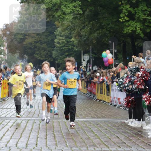 13.09.2026 - Kiel Lauf Yannick Fuchs http://msf.ph/oto/10278699 13.09.2026 08:51:40 Ziel 1210, 1243, 3779, 3901, 5130, 5580, 5793, 5906, 5976, 6532, 7521, 8206, 8538, 11448, 12467, 444, 909, 1238, 1724, 3683, 4159, 4741, 5010, 5211, 5439, 5906, 6699, 7033, 8657, 8883, 9379, 9929, 10463, 10970, 11688, 1572, 2020, 3538, 3557, 5169, 6205, 7171, 8543, 8700, 12102, 496, 1724, 2343, 10970 meine-sportfotos.de
