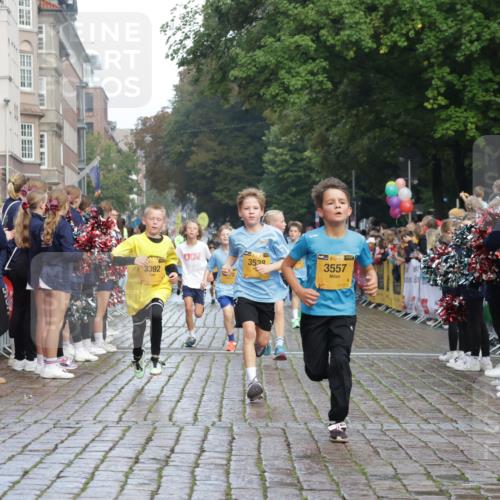 13.09.2026 - Kiel Lauf Yannick Fuchs http://msf.ph/oto/10278715 13.09.2026 08:51:41 Ziel 1210, 1243, 3779, 3901, 5130, 5580, 5793, 5976, 6532, 7521, 8206, 8538, 11448, 12467, 444, 909, 1238, 1724, 3683, 4159, 4741, 5010, 5211, 5439, 5906, 6699, 7033, 8206, 8657, 8883, 9379, 9929, 10463, 10970, 11688, 1572, 2020, 3392, 3538, 3557, 5169, 6205, 7171, 8543, 8700, 12102, 496, 1724, 2343, 10970 meine-sportfotos.de