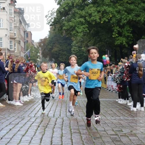 13.09.2026 - Kiel Lauf Yannick Fuchs http://msf.ph/oto/10278733 13.09.2026 08:51:42 Ziel 1210, 1243, 1572, 3779, 3901, 5130, 5169, 5580, 5793, 5976, 6532, 7521, 8538, 11448, 12467, 444, 909, 1238, 1724, 3683, 4159, 4741, 5010, 5211, 5439, 5906, 6699, 7033, 8206, 8657, 8883, 9379, 9929, 10463, 10970, 11688, 2020, 3392, 3538, 3557, 5810, 6205, 7171, 8543, 8700, 12102, 1724, 10970 meine-sportfotos.de