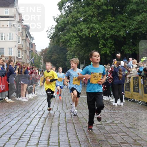 13.09.2026 - Kiel Lauf Yannick Fuchs http://msf.ph/oto/10278739 13.09.2026 08:51:42 Ziel 1210, 1243, 1572, 3779, 3901, 5130, 5169, 5580, 5793, 5976, 6532, 7521, 8538, 11448, 12467, 444, 909, 1238, 1724, 3683, 4159, 4741, 5010, 5211, 5439, 5906, 6699, 7033, 8206, 8657, 8883, 9379, 9929, 10463, 10970, 11688, 2020, 3392, 3538, 3557, 5810, 6205, 7171, 8543, 8700, 12102, 1724, 10970 meine-sportfotos.de