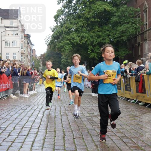 13.09.2026 - Kiel Lauf Yannick Fuchs http://msf.ph/oto/10278762 13.09.2026 08:51:43 Ziel 1210, 1243, 1572, 3779, 3901, 5130, 5169, 5580, 5793, 5976, 6532, 7521, 8538, 11448, 12467, 444, 909, 1238, 1243, 3683, 4159, 4741, 5010, 5211, 5439, 5906, 6699, 7033, 8206, 8657, 8883, 9379, 9929, 10463, 11688, 2020, 3392, 3538, 3557, 5810, 6205, 6372, 7171, 8543, 8700, 12102, 1724, 10970, 11688 meine-sportfotos.de