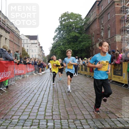 13.09.2026 - Kiel Lauf Yannick Fuchs http://msf.ph/oto/10278773 13.09.2026 08:51:43 Ziel 1210, 1243, 1572, 3779, 3901, 5130, 5169, 5580, 5793, 5976, 6532, 7521, 8538, 11448, 12467, 444, 909, 1238, 1243, 3683, 4159, 4741, 5010, 5211, 5439, 5906, 6699, 7033, 8206, 8657, 8883, 9379, 9929, 10463, 11688, 2020, 3392, 3538, 3557, 5810, 6205, 6372, 7171, 8543, 8700, 12102, 1724, 10970, 11688 meine-sportfotos.de