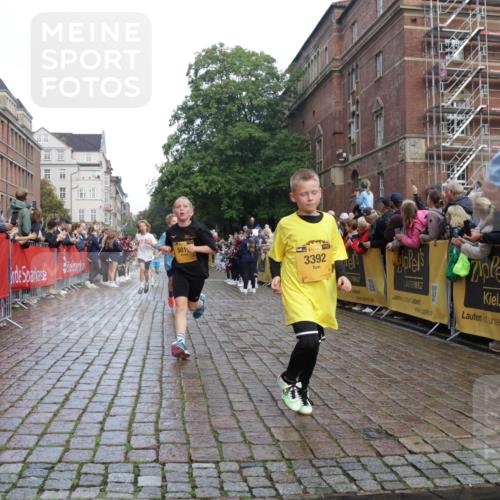 13.09.2026 - Kiel Lauf Yannick Fuchs http://msf.ph/oto/10278804 13.09.2026 08:51:45 Ziel 1210, 1572, 3779, 3901, 5130, 5169, 5580, 5793, 5976, 6532, 7521, 8538, 11448, 12102, 12467, 444, 909, 1238, 1243, 3683, 4159, 4741, 5010, 5211, 5439, 5793, 5906, 6699, 7033, 8206, 8657, 8883, 9379, 9929, 10463, 11688, 2020, 3392, 3538, 3557, 5810, 6205, 6372, 7171, 8543, 8700, 11608, 1238, 1724, 10463, 10970, 11688 meine-sportfotos.de