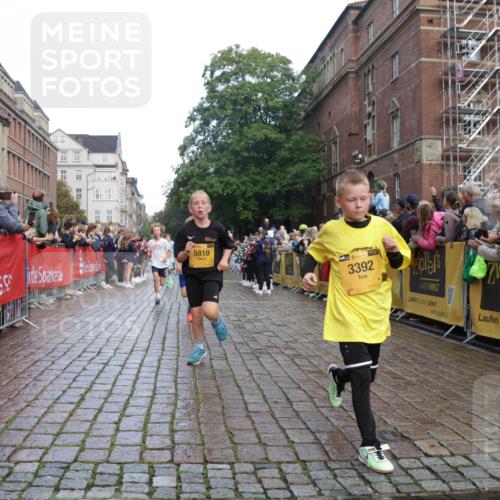 13.09.2026 - Kiel Lauf Yannick Fuchs http://msf.ph/oto/10278810 13.09.2026 08:51:45 Ziel 1210, 1572, 3779, 3901, 5130, 5169, 5580, 5793, 5976, 6532, 7521, 8538, 11448, 12102, 12467, 444, 909, 1238, 1243, 3683, 4159, 4741, 5010, 5211, 5439, 5793, 5906, 6699, 7033, 8206, 8657, 8883, 9379, 9929, 10463, 11688, 2020, 3392, 3538, 3557, 5810, 6205, 6372, 7171, 8543, 8700, 11608, 1238, 1724, 10463, 10970, 11688 meine-sportfotos.de