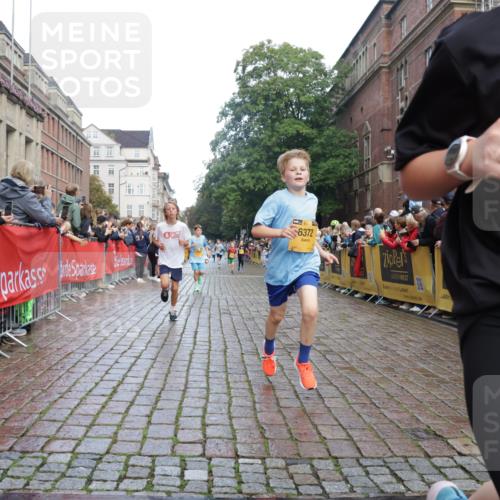 13.09.2026 - Kiel Lauf Yannick Fuchs http://msf.ph/oto/10278836 13.09.2026 08:51:46 Ziel 1210, 1572, 3779, 3901, 5130, 5169, 5580, 5976, 6532, 7521, 8538, 8543, 8700, 11448, 12102, 12467, 444, 909, 1238, 1243, 3683, 4159, 4741, 5010, 5211, 5439, 5793, 5906, 6699, 7033, 8206, 8657, 8883, 9379, 9929, 10463, 11688, 2020, 3392, 3538, 3557, 5810, 6205, 6372, 7171, 10826, 11608, 1238, 1724, 5010, 10463, 10970, 11688 meine-sportfotos.de