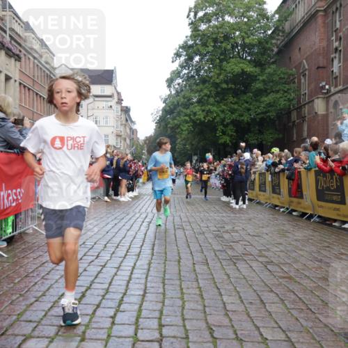 13.09.2026 - Kiel Lauf Yannick Fuchs http://msf.ph/oto/10278855 13.09.2026 08:51:47 Ziel 1210, 1572, 2020, 3779, 3901, 5130, 5169, 5580, 5976, 6532, 7521, 8538, 8543, 8700, 11448, 12102, 12467, 444, 909, 1238, 1243, 3683, 4159, 4741, 5010, 5211, 5439, 5793, 5906, 5976, 6699, 7033, 8206, 8657, 8883, 9379, 9929, 10463, 2015, 3392, 3538, 3557, 5810, 6205, 6372, 7171, 8736, 10826, 11608, 1238, 1724, 5010, 7033, 10463, 10970, 11688 meine-sportfotos.de