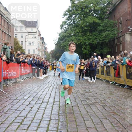13.09.2026 - Kiel Lauf Yannick Fuchs http://msf.ph/oto/10278871 13.09.2026 08:51:48 Ziel 1210, 1572, 2020, 3779, 3901, 5130, 5169, 5580, 6532, 7171, 7521, 8538, 8543, 8700, 11448, 12102, 12467, 444, 909, 1238, 1243, 3683, 3901, 4159, 4741, 5010, 5130, 5211, 5439, 5793, 5906, 5976, 6699, 7033, 8206, 8657, 8883, 9379, 9929, 2015, 3392, 3538, 3557, 5810, 6205, 6372, 8477, 8736, 10826, 11608, 1238, 1724, 4159, 5010, 7033, 10463, 10970, 11688 meine-sportfotos.de