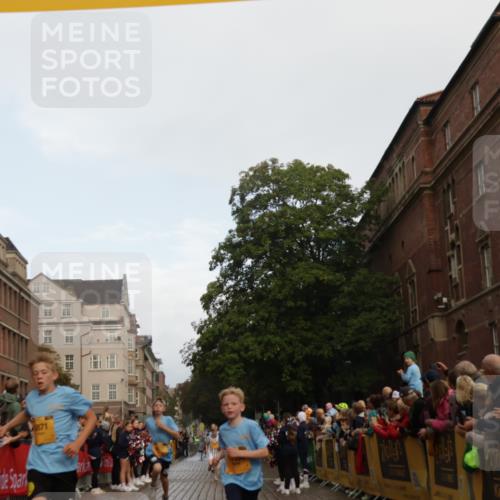 13.09.2026 - Kiel Lauf Yannick Fuchs http://msf.ph/oto/10279001 13.09.2026 08:51:59 Ziel 2020, 3392, 3538, 3557, 5810, 6205, 6372, 7171, 8543, 8700, 11608, 12102, 444, 1210, 1243, 1572, 3779, 3901, 5130, 5169, 5439, 5580, 5793, 5906, 5976, 6532, 6699, 7521, 8206, 8538, 8657, 8883, 9379, 9929, 11448, 12102, 12467, 2015, 3178, 3871, 6937, 7034, 8477, 8736, 10102, 10826, 11752, 444, 909, 3683, 4741, 5211, 5439, 8883, 9929 meine-sportfotos.de