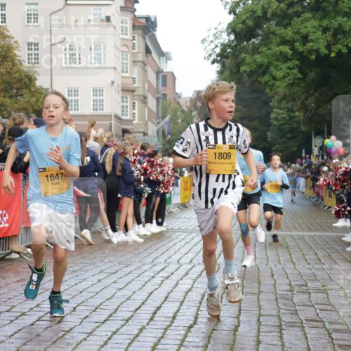 13.09.2026 - Kiel Lauf Yannick Fuchs http://msf.ph/oto/10279063 13.09.2026 08:52:03 Ziel 2015, 3392, 3538, 3557, 5810, 6205, 6372, 7171, 8477, 8736, 10826, 11608, 1210, 1243, 1572, 2020, 3779, 3901, 5130, 5169, 5580, 5793, 5906, 5976, 6532, 6699, 7171, 7521, 8206, 8538, 8543, 8657, 8700, 9379, 11448, 12102, 12467, 1647, 1809, 3178, 3871, 6937, 7034, 9381, 10102, 11752, 444, 4741, 5211, 5439, 5906, 6699, 8206, 8657, 8883, 9379, 9929 meine-sportfotos.de