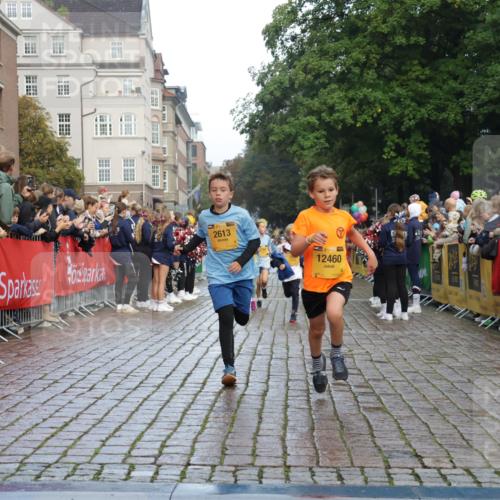 13.09.2026 - Kiel Lauf Yannick Fuchs http://msf.ph/oto/10279303 13.09.2026 08:52:20 Ziel 1647, 1809, 3178, 3871, 6517, 6937, 7034, 9381, 10102, 11752, 1210, 1572, 2015, 2020, 3178, 3392, 3538, 3557, 5169, 5810, 6205, 6372, 7171, 8477, 8543, 8700, 8736, 10826, 11608, 12102, 1799, 2613, 3782, 5075, 7881, 7894, 10396, 10779, 12460, 1210, 1572, 3779, 3901, 5130, 5169, 5580, 6532, 7521, 8538, 11448, 12467 meine-sportfotos.de