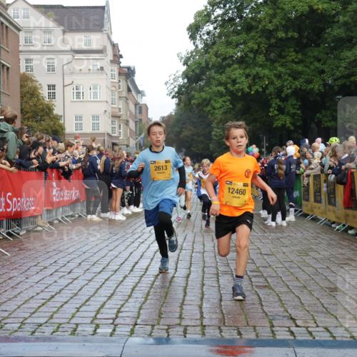 13.09.2026 - Kiel Lauf Yannick Fuchs http://msf.ph/oto/10279306 13.09.2026 08:52:20 Ziel 1647, 1809, 3178, 3871, 6517, 6937, 7034, 9381, 10102, 11752, 1210, 1572, 2015, 2020, 3178, 3392, 3538, 3557, 5169, 5810, 6205, 6372, 7171, 8477, 8543, 8700, 8736, 10826, 11608, 12102, 1799, 2613, 3782, 5075, 7881, 7894, 10396, 10779, 12460, 1210, 1572, 3779, 3901, 5130, 5169, 5580, 6532, 7521, 8538, 11448, 12467 meine-sportfotos.de