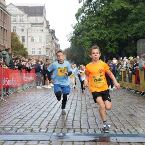 13.09.2026 - Kiel Lauf Yannick Fuchs http://msf.ph/oto/10279314 13.09.2026 08:52:20 Ziel 1647, 1809, 3178, 3871, 6517, 6937, 7034, 9381, 10102, 11752, 1210, 1572, 2015, 2020, 3178, 3392, 3538, 3557, 5169, 5810, 6205, 6372, 7171, 8477, 8543, 8700, 8736, 10826, 11608, 12102, 1799, 2613, 3782, 5075, 7881, 7894, 10396, 10779, 12460, 1210, 1572, 3779, 3901, 5130, 5169, 5580, 6532, 7521, 8538, 11448, 12467 meine-sportfotos.de