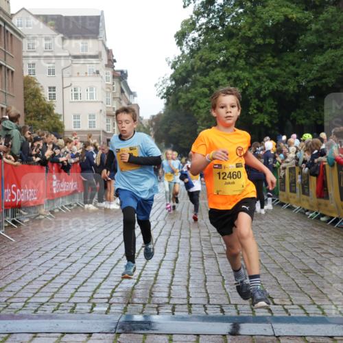 13.09.2026 - Kiel Lauf Yannick Fuchs http://msf.ph/oto/10279319 13.09.2026 08:52:20 Ziel 1647, 1809, 3178, 3871, 6517, 6937, 7034, 9381, 10102, 11752, 1210, 1572, 2015, 2020, 3178, 3392, 3538, 3557, 5169, 5810, 6205, 6372, 7171, 8477, 8543, 8700, 8736, 10826, 11608, 12102, 1799, 2613, 3782, 5075, 7881, 7894, 10396, 10779, 12460, 1210, 1572, 3779, 3901, 5130, 5169, 5580, 6532, 7521, 8538, 11448, 12467 meine-sportfotos.de