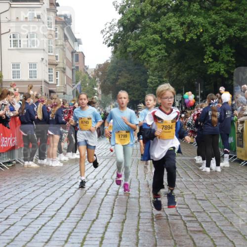 13.09.2026 - Kiel Lauf Yannick Fuchs http://msf.ph/oto/10279344 13.09.2026 08:52:22 Ziel 1647, 1809, 3871, 6517, 6937, 9381, 10102, 11752, 1572, 2015, 2020, 3178, 3392, 3538, 3557, 5169, 5810, 6205, 6372, 7034, 7171, 8477, 8543, 8700, 8736, 10826, 11608, 12102, 1799, 2613, 3782, 5075, 5121, 7881, 7894, 8745, 10396, 10779, 12460, 1210, 1572, 5169, 5580, 6532, 7521, 11448, 12102, 12467 meine-sportfotos.de