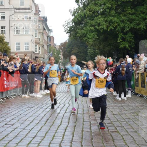 13.09.2026 - Kiel Lauf Yannick Fuchs http://msf.ph/oto/10279349 13.09.2026 08:52:22 Ziel 1647, 1809, 3871, 6517, 6937, 9381, 10102, 11752, 1572, 2015, 2020, 3178, 3392, 3538, 3557, 5169, 5810, 6205, 6372, 7034, 7171, 8477, 8543, 8700, 8736, 10826, 11608, 12102, 1799, 2613, 3782, 5075, 5121, 7881, 7894, 8745, 10396, 10779, 12460, 1210, 1572, 5169, 5580, 6532, 7521, 11448, 12102, 12467 meine-sportfotos.de