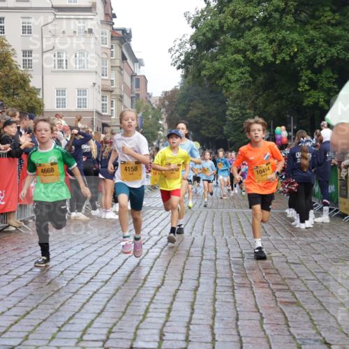 13.09.2026 - Kiel Lauf Yannick Fuchs http://msf.ph/oto/10279408 13.09.2026 08:52:27 Ziel 1647, 1809, 3782, 5075, 6517, 6937, 7881, 9381, 10396, 11752, 2015, 2020, 3178, 3392, 3538, 3557, 3871, 5810, 6205, 6372, 6937, 7034, 7171, 8477, 8736, 10102, 10826, 11608, 11752, 1799, 2613, 4158, 4668, 5121, 5334, 7894, 8745, 10414, 10779, 11248, 12454, 12460, 1210, 1572, 2020, 5169, 6205, 7171, 8543, 8700, 12102 meine-sportfotos.de