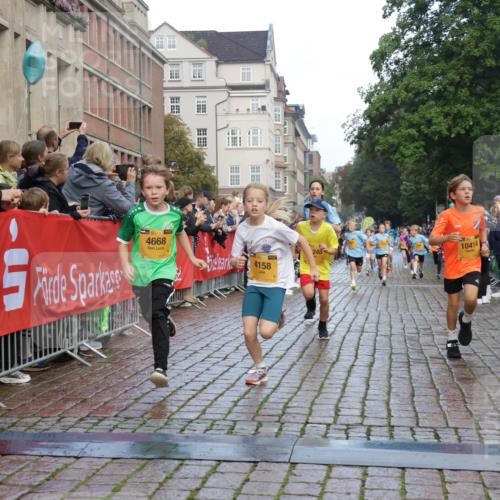 13.09.2026 - Kiel Lauf Yannick Fuchs http://msf.ph/oto/10279414 13.09.2026 08:52:28 Ziel 1647, 1809, 3782, 5075, 6517, 7881, 9381, 10396, 2015, 3178, 3392, 3538, 3557, 3871, 5810, 6205, 6372, 6937, 7034, 7171, 8477, 8736, 10102, 10826, 11608, 11752, 1799, 2613, 4158, 4668, 5121, 5334, 7894, 8745, 10414, 10779, 11248, 12454, 12460, 1572, 2020, 5169, 6205, 7171, 8543, 8700, 12102 meine-sportfotos.de
