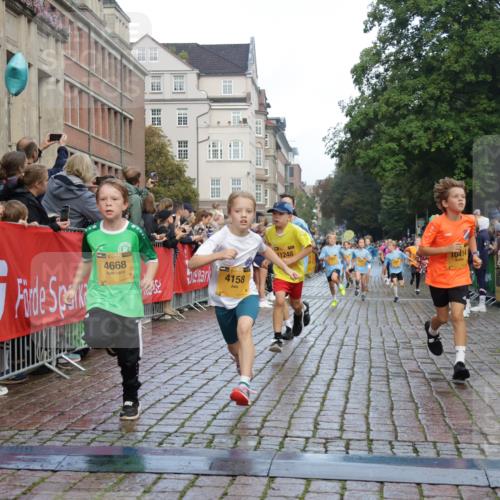 13.09.2026 - Kiel Lauf Yannick Fuchs http://msf.ph/oto/10279418 13.09.2026 08:52:28 Ziel 1647, 1809, 3782, 5075, 6517, 7881, 9381, 10396, 2015, 3178, 3392, 3538, 3557, 3871, 5810, 6205, 6372, 6937, 7034, 7171, 8477, 8736, 10102, 10826, 11608, 11752, 1799, 2613, 4158, 4668, 5121, 5334, 7894, 8745, 10414, 10779, 11248, 12454, 12460, 1572, 2020, 5169, 6205, 7171, 8543, 8700, 12102 meine-sportfotos.de