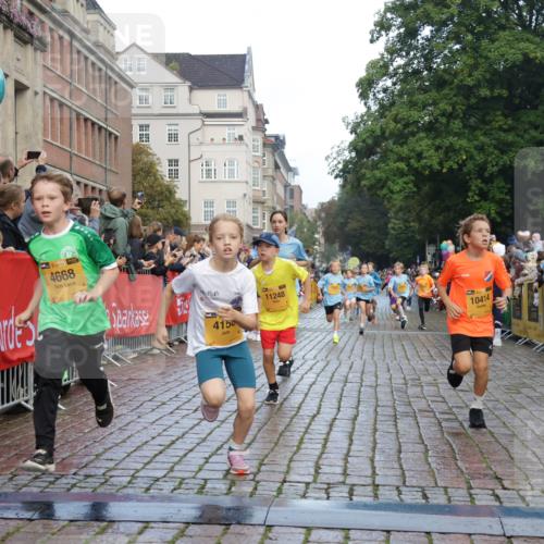 13.09.2026 - Kiel Lauf Yannick Fuchs http://msf.ph/oto/10279423 13.09.2026 08:52:28 Ziel 1647, 1809, 3782, 5075, 6517, 7881, 9381, 10396, 2015, 3178, 3392, 3538, 3557, 3871, 5810, 6205, 6372, 6937, 7034, 7171, 8477, 8736, 10102, 10826, 11608, 11752, 1799, 2613, 4158, 4668, 5121, 5334, 7894, 8745, 10414, 10779, 11248, 12454, 12460, 1572, 2020, 5169, 6205, 7171, 8543, 8700, 12102 meine-sportfotos.de