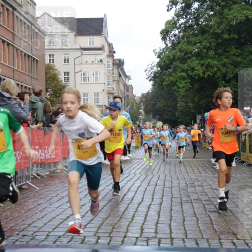 13.09.2026 - Kiel Lauf Yannick Fuchs http://msf.ph/oto/10279428 13.09.2026 08:52:29 Ziel 1647, 1809, 3782, 5075, 6517, 7881, 9381, 10396, 2015, 3178, 3392, 3538, 3557, 3871, 5810, 6205, 6372, 6937, 7034, 8477, 8736, 10102, 10826, 11608, 11752, 1799, 2402, 2609, 2613, 4158, 4668, 5121, 5334, 6283, 7025, 7423, 7894, 8745, 10414, 10779, 11248, 12397, 12454, 12460, 1572, 2020, 5169, 6205, 7171, 8543, 8700, 12102 meine-sportfotos.de