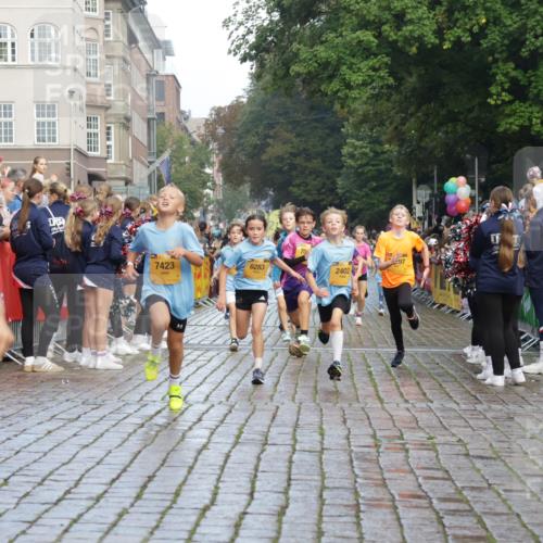 13.09.2026 - Kiel Lauf Yannick Fuchs http://msf.ph/oto/10279432 13.09.2026 08:52:30 Ziel 1647, 1809, 3782, 5075, 6517, 7881, 9381, 10396, 10779, 2015, 3178, 3392, 3538, 3557, 3871, 5810, 6205, 6372, 6937, 7034, 8477, 8736, 10102, 10826, 11608, 11752, 1799, 2402, 2609, 2613, 4158, 4668, 5121, 5334, 5405, 6283, 7025, 7423, 7894, 8745, 10414, 11248, 12397, 12454, 12460, 2020, 6205, 7171, 8543, 8700, 12102 meine-sportfotos.de