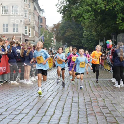 13.09.2026 - Kiel Lauf Yannick Fuchs http://msf.ph/oto/10279437 13.09.2026 08:52:30 Ziel 1647, 1809, 3782, 5075, 6517, 7881, 9381, 10396, 10779, 2015, 3178, 3392, 3538, 3557, 3871, 5810, 6205, 6372, 6937, 7034, 8477, 8736, 10102, 10826, 11608, 11752, 1799, 2402, 2609, 2613, 4158, 4668, 5121, 5334, 5405, 6283, 7025, 7423, 7894, 8745, 10414, 11248, 12397, 12454, 12460, 2020, 6205, 7171, 8543, 8700, 12102 meine-sportfotos.de