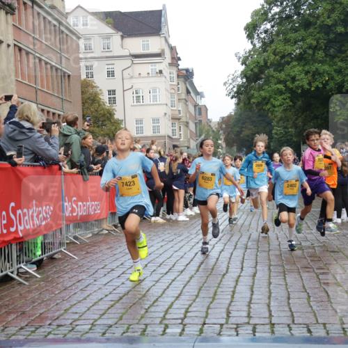 13.09.2026 - Kiel Lauf Yannick Fuchs http://msf.ph/oto/10279458 13.09.2026 08:52:31 Ziel 1647, 1809, 3782, 5075, 6517, 7881, 9381, 10396, 10779, 12460, 1647, 1809, 2015, 3178, 3392, 3538, 3557, 3871, 5810, 6372, 6937, 7034, 8477, 8736, 10102, 10826, 11608, 11752, 1799, 2402, 2609, 2613, 4158, 4668, 5121, 5334, 5405, 6210, 6283, 7025, 7423, 7894, 8745, 10414, 11248, 12397, 12454, 2020, 6205, 7171, 8543, 8700, 12102 meine-sportfotos.de