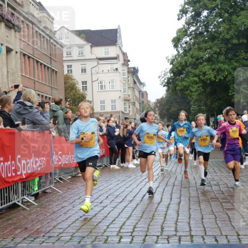 13.09.2026 - Kiel Lauf Yannick Fuchs http://msf.ph/oto/10279464 13.09.2026 08:52:32 Ziel 2613, 3782, 5075, 6517, 7881, 9381, 10396, 10779, 12460, 1647, 1809, 2015, 3178, 3392, 3538, 3557, 3871, 5810, 6372, 6937, 7034, 8477, 8736, 9381, 10102, 10826, 11608, 11752, 1799, 2402, 2609, 4158, 4668, 5121, 5334, 5405, 6210, 6283, 7025, 7423, 7611, 7894, 8745, 10414, 10991, 11248, 12397, 12454, 2020, 3538, 3557, 6205, 7171, 8543, 8700 meine-sportfotos.de
