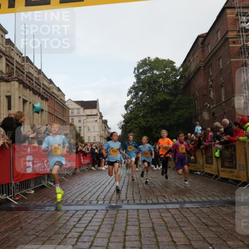 13.09.2026 - Kiel Lauf Yannick Fuchs http://msf.ph/oto/10279468 13.09.2026 08:52:32 Ziel 2613, 3782, 5075, 6517, 7881, 9381, 10396, 10779, 12460, 1647, 1809, 2015, 3178, 3392, 3538, 3557, 3871, 5810, 6372, 6937, 7034, 8477, 8736, 9381, 10102, 10826, 11608, 11752, 1799, 2402, 2609, 4158, 4668, 5121, 5334, 5405, 6210, 6283, 7025, 7423, 7611, 7894, 8745, 10414, 10991, 11248, 12397, 12454, 2020, 3538, 3557, 6205, 7171, 8543, 8700 meine-sportfotos.de