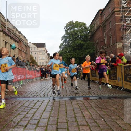 13.09.2026 - Kiel Lauf Yannick Fuchs http://msf.ph/oto/10279482 13.09.2026 08:52:33 Ziel 2613, 3782, 5075, 6517, 7881, 10396, 10779, 12460, 1647, 1809, 2015, 3178, 3392, 3538, 3557, 3871, 5810, 6372, 6937, 7034, 8477, 8736, 9381, 10102, 10826, 11608, 11752, 1799, 2402, 2609, 4158, 4668, 5121, 5147, 5334, 5405, 6210, 6283, 7025, 7423, 7611, 7894, 8745, 10414, 10991, 11248, 12397, 12454, 12488, 2020, 3392, 3538, 3557, 6205, 7171, 8543, 8700 meine-sportfotos.de