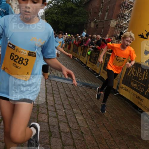 13.09.2026 - Kiel Lauf Yannick Fuchs http://msf.ph/oto/10279505 13.09.2026 08:52:34 Ziel 2613, 3782, 5075, 6517, 7881, 7894, 10396, 10779, 12460, 1647, 1809, 2015, 3178, 3392, 3538, 3557, 3871, 5810, 6372, 6517, 6937, 7034, 8477, 8736, 9381, 10102, 10826, 11608, 11752, 1799, 2402, 2609, 4158, 4668, 5121, 5147, 5334, 5405, 6210, 6283, 7025, 7423, 7611, 8745, 10024, 10414, 10991, 11248, 12397, 12454, 12488, 2020, 3392, 3538, 3557, 5810, 6205, 7171 meine-sportfotos.de