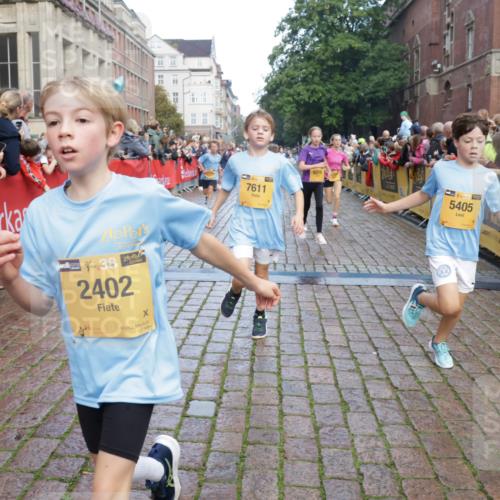 13.09.2026 - Kiel Lauf Yannick Fuchs http://msf.ph/oto/10279525 13.09.2026 08:52:35 Ziel 1799, 2613, 3782, 5075, 7881, 7894, 10396, 10779, 12460, 1647, 1809, 2015, 3178, 3392, 3538, 3557, 3871, 5810, 6372, 6517, 6937, 7034, 8477, 8736, 9381, 10102, 10826, 11608, 11752, 2402, 2609, 4158, 4668, 5121, 5147, 5334, 5405, 6210, 6283, 7025, 7423, 7611, 8745, 10024, 10414, 10991, 11248, 12397, 12454, 12488, 3392, 3538, 3557, 5810, 6205, 6372, 7171 meine-sportfotos.de