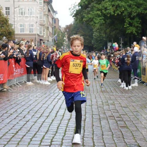 13.09.2026 - Kiel Lauf Yannick Fuchs http://msf.ph/oto/10279612 13.09.2026 08:52:43 Ziel 1799, 2613, 4158, 4668, 5121, 5334, 7894, 8745, 10414, 10779, 11248, 12454, 12460, 1647, 1809, 3178, 3782, 3871, 5075, 6517, 6937, 7034, 7881, 8477, 9381, 10102, 10396, 11752, 237, 1263, 2402, 2609, 5147, 5149, 5373, 5405, 6210, 6283, 6579, 7025, 7085, 7423, 7611, 10024, 10627, 10991, 11706, 12397, 12488, 2015, 3178, 3392, 5810, 6372, 7034, 8477, 8736, 10826, 11608 meine-sportfotos.de
