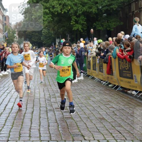 13.09.2026 - Kiel Lauf Yannick Fuchs http://msf.ph/oto/10279638 13.09.2026 08:52:45 Ziel 1799, 2402, 2609, 2613, 4158, 4668, 5121, 5334, 5405, 6283, 7025, 7423, 7894, 8745, 10414, 10779, 11248, 12397, 12454, 12460, 1647, 1809, 3178, 3782, 3871, 5075, 6517, 6937, 7034, 7881, 9381, 10102, 10396, 10779, 11752, 237, 1263, 4756, 5147, 5149, 5373, 6210, 6579, 7085, 7611, 8018, 8510, 10024, 10627, 10991, 11706, 12488, 2015, 3178, 6372, 7034, 8477, 8736, 10826, 11608 meine-sportfotos.de