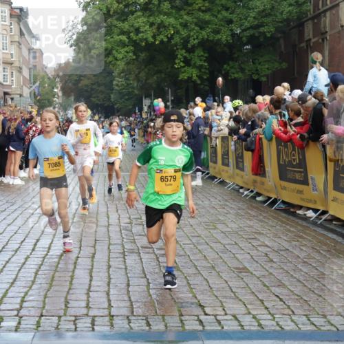 13.09.2026 - Kiel Lauf Yannick Fuchs http://msf.ph/oto/10279642 13.09.2026 08:52:45 Ziel 1799, 2402, 2609, 2613, 4158, 4668, 5121, 5334, 5405, 6283, 7025, 7423, 7894, 8745, 10414, 10779, 11248, 12397, 12454, 12460, 1647, 1809, 3178, 3782, 3871, 5075, 6517, 6937, 7034, 7881, 9381, 10102, 10396, 10779, 11752, 237, 1263, 4756, 5147, 5149, 5373, 6210, 6579, 7085, 7611, 8018, 8510, 10024, 10627, 10991, 11706, 12488, 2015, 3178, 6372, 7034, 8477, 8736, 10826, 11608 meine-sportfotos.de