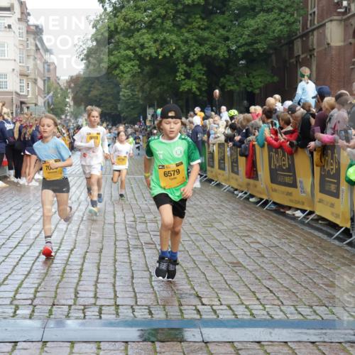 13.09.2026 - Kiel Lauf Yannick Fuchs http://msf.ph/oto/10279648 13.09.2026 08:52:46 Ziel 1799, 2402, 2609, 2613, 4158, 4668, 5121, 5334, 5405, 6210, 6283, 7025, 7423, 7894, 8745, 10414, 11248, 12397, 12454, 12460, 1647, 1809, 3782, 3871, 5075, 6517, 6937, 7034, 7881, 9381, 10102, 10396, 10779, 11752, 12460, 237, 1263, 4756, 5147, 5149, 5373, 6579, 7085, 7611, 8018, 8510, 10024, 10627, 10991, 11706, 12488, 2015, 3178, 7034, 8477, 8736, 10826, 11608 meine-sportfotos.de