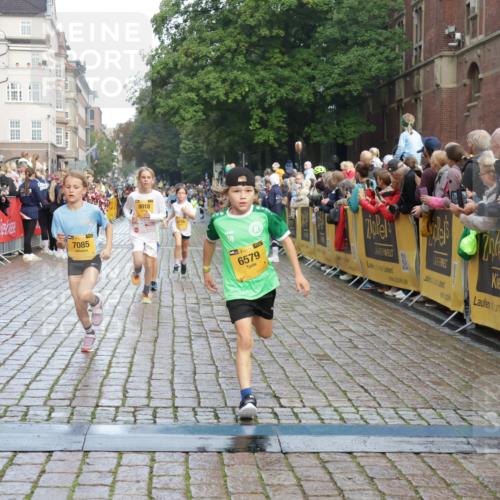 13.09.2026 - Kiel Lauf Yannick Fuchs http://msf.ph/oto/10279652 13.09.2026 08:52:46 Ziel 1799, 2402, 2609, 2613, 4158, 4668, 5121, 5334, 5405, 6210, 6283, 7025, 7423, 7894, 8745, 10414, 11248, 12397, 12454, 12460, 1647, 1809, 3782, 3871, 5075, 6517, 6937, 7034, 7881, 9381, 10102, 10396, 10779, 11752, 12460, 237, 1263, 4756, 5147, 5149, 5373, 6579, 7085, 7611, 8018, 8510, 10024, 10627, 10991, 11706, 12488, 2015, 3178, 7034, 8477, 8736, 10826, 11608 meine-sportfotos.de