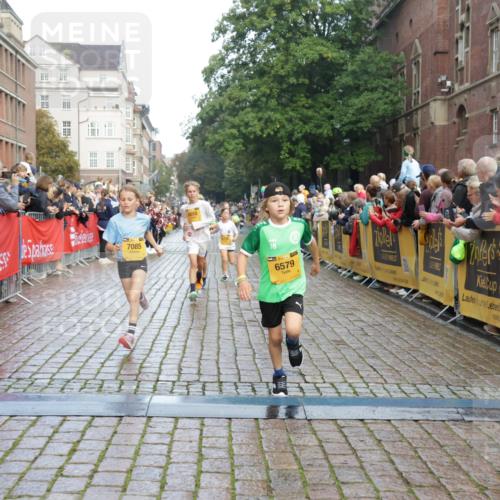 13.09.2026 - Kiel Lauf Yannick Fuchs http://msf.ph/oto/10279656 13.09.2026 08:52:46 Ziel 1799, 2402, 2609, 2613, 4158, 4668, 5121, 5334, 5405, 6210, 6283, 7025, 7423, 7894, 8745, 10414, 11248, 12397, 12454, 12460, 1647, 1809, 3782, 3871, 5075, 6517, 6937, 7034, 7881, 9381, 10102, 10396, 10779, 11752, 12460, 237, 1263, 4756, 5147, 5149, 5373, 6579, 7085, 7611, 8018, 8510, 10024, 10627, 10991, 11706, 12488, 2015, 3178, 7034, 8477, 8736, 10826, 11608 meine-sportfotos.de