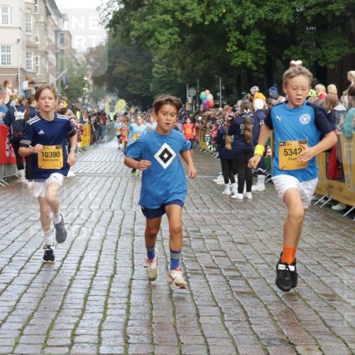 13.09.2026 - Kiel Lauf Yannick Fuchs http://msf.ph/oto/10279726 13.09.2026 08:52:51 Ziel 237, 2402, 2609, 4158, 4668, 5121, 5147, 5149, 5334, 5405, 6210, 6283, 7025, 7423, 7611, 8745, 10024, 10414, 10991, 11248, 12397, 12454, 12488, 1647, 1799, 1809, 2613, 3782, 3871, 5075, 5121, 6517, 6937, 7881, 7894, 8745, 9381, 10102, 10396, 10779, 11752, 12460, 1263, 4756, 5342, 5373, 6579, 7085, 8018, 8510, 8601, 10390, 10627, 11706, 3178, 3871, 6937, 7034, 10102, 11752 meine-sportfotos.de