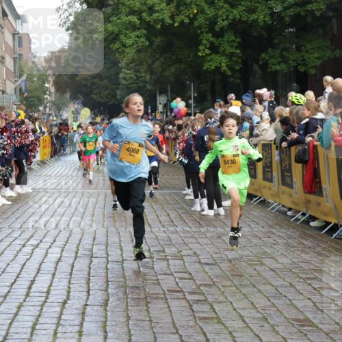 13.09.2026 - Kiel Lauf Yannick Fuchs http://msf.ph/oto/10279768 13.09.2026 08:52:54 Ziel 237, 1263, 2402, 2609, 4158, 4668, 5147, 5149, 5373, 5405, 6210, 6283, 7025, 7423, 7611, 10024, 10414, 10627, 10991, 11248, 11706, 12397, 12454, 12488, 1647, 1799, 1809, 2613, 3782, 5075, 5121, 5334, 6517, 7881, 7894, 8745, 9381, 10396, 10779, 12460, 4060, 4756, 5342, 5436, 6579, 7085, 8018, 8510, 8601, 10390, 1647, 1809, 3871, 6937, 9381, 10102, 11752 meine-sportfotos.de