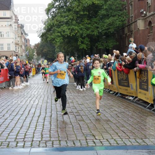 13.09.2026 - Kiel Lauf Yannick Fuchs http://msf.ph/oto/10279787 13.09.2026 08:52:55 Ziel 237, 1263, 2402, 2609, 4158, 4668, 5147, 5149, 5373, 5405, 6210, 6283, 7025, 7423, 7611, 10024, 10414, 10627, 10991, 11248, 11706, 12397, 12454, 12488, 1647, 1799, 1809, 2613, 3782, 4158, 4668, 5075, 5121, 5334, 6517, 7881, 7894, 8745, 9381, 10396, 10779, 12460, 2985, 3316, 4060, 4756, 5342, 5436, 6579, 7085, 8018, 8510, 8601, 10390, 1647, 1809, 3871, 6937, 9381, 10102, 11752 meine-sportfotos.de
